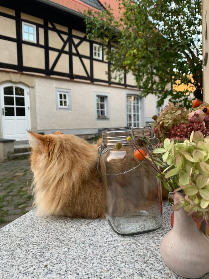 Studio Auf Denkmalgeschuetztem Dreiseithof In Hoefgen Bei Grimma Hofgen  Exterior foto